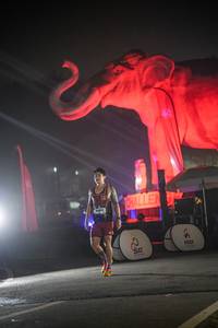 BIB: 
                            <button type="button" onclick="openModal(26531189)" class="btn btn-primary btn-sm float-right btn-popup" data-toggle="modal" data-target=".modal-high-quality">
                        <i class="fas fa-shopping-cart"></i> Add to Cart
                    </button>
                                            <button type="button" onclick="isThisMe(26531189, true)" class="btn btn-success btn-sm float-right btn-popup btn-isme hidden" data-toggle="tooltip" data-placement="bottom" title="นี่คือรูปของคุณใช่ไหม คลิกที่นี่เพื่อเอาเข้าอัลบั้ม">
                        <i class="fas fa-plus"></i> Add to album
                    </button>
                    <button type="button" onclick="isThisMe(26531189, false)" class="btn btn-warning btn-sm float-right btn-popup btn-isnotme hidden">
                        <i class="fas fa-ban"></i> Remove from album
                    </button>